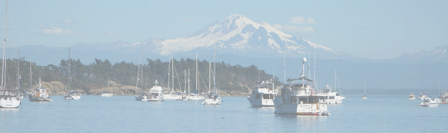 Pacific Northwest Design Influences for Your Portland Home