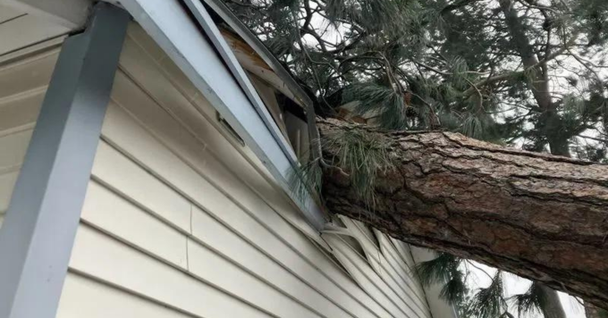 tree crashing into home from a winter store